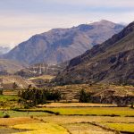 Maca-Mountains of Peru